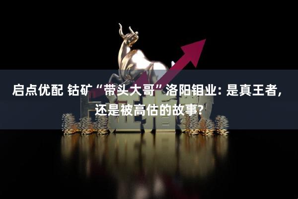 启点优配 钴矿“带头大哥”洛阳钼业: 是真王者, 还是被高估的故事?