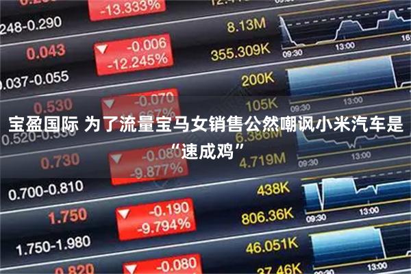 宝盈国际 为了流量宝马女销售公然嘲讽小米汽车是“速成鸡”