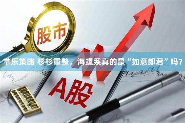 掌乐策略 杉杉重整，海螺系真的是“如意郎君”吗？