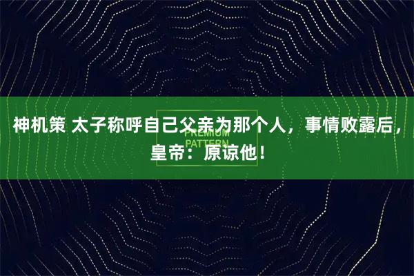 神机策 太子称呼自己父亲为那个人，事情败露后，皇帝：原谅他！