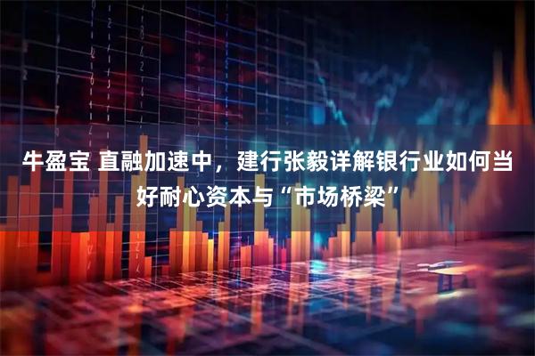 牛盈宝 直融加速中，建行张毅详解银行业如何当好耐心资本与“市场桥梁”