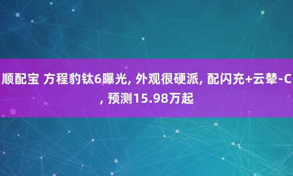 顺配宝 方程豹钛6曝光, 外观很硬派, 配闪充+云辇-C, 预测15.98万起