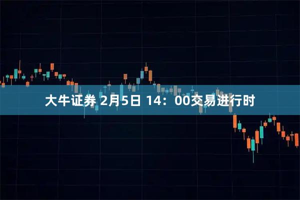 大牛证券 2月5日 14：00交易进行时