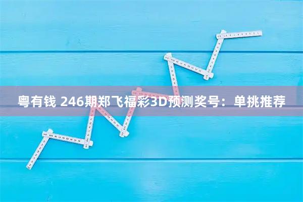 粤有钱 246期郑飞福彩3D预测奖号：单挑推荐