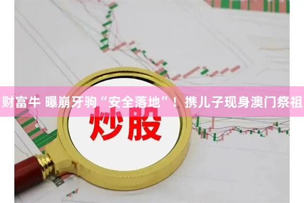 财富牛 曝崩牙驹“安全落地”！携儿子现身澳门祭祖