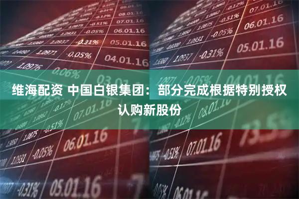 维海配资 中国白银集团：部分完成根据特别授权认购新股份