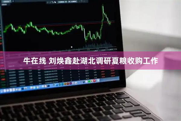 牛在线 刘焕鑫赴湖北调研夏粮收购工作