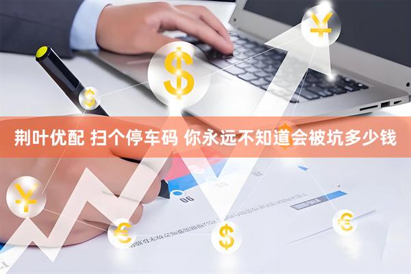 荆叶优配 扫个停车码 你永远不知道会被坑多少钱