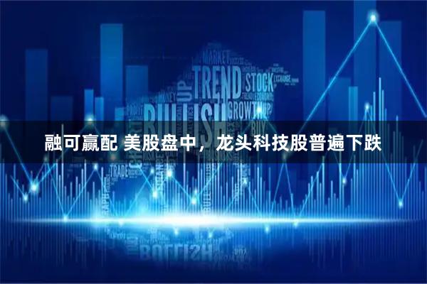 融可赢配 美股盘中，龙头科技股普遍下跌